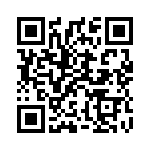 91J1R3E QRCode