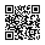 91R1A-R16-A13L QRCode