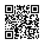 924517-28-06-I QRCode