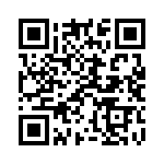 924517-28-17-I QRCode