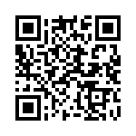 924527-28-17-I QRCode