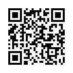 928673-1 QRCode