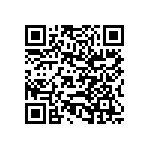 929730-01-04-RK QRCode