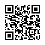95103-417HLF QRCode