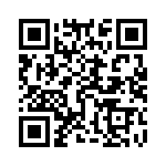 95278-101T06 QRCode