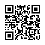 95278-101T06LF QRCode