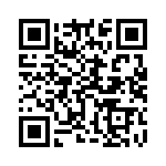 95278-802T16 QRCode
