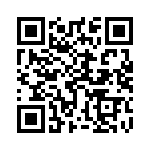 95652-462HLF QRCode