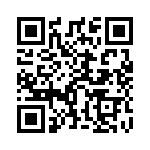 95CW06E3T QRCode