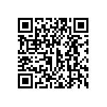 95Z1D-Z33-EA0-304L QRCode