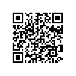 97-3106B-20-29P QRCode