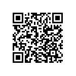 9T06031A1333DBHFT QRCode