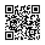 A20130207 QRCode