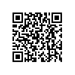 A22NNBPMNBAG100NN QRCode