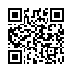 A38130307 QRCode