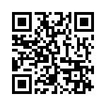 A38130804 QRCode