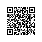 AT49LV002NT-12VI QRCode