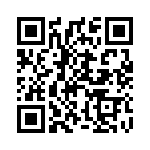 B13LV QRCode