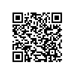 B32520C3153K189 QRCode