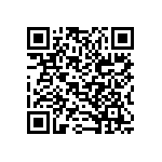 B32520C6273M289 QRCode