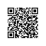 B32520C6683K289 QRCode