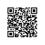 B32520E6333K000 QRCode