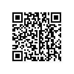 B32521C3334J000 QRCode