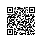 B32521E6223K289 QRCode