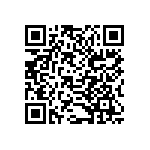 B32522Q1335K289 QRCode