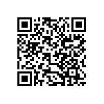 B32524R0156K000 QRCode