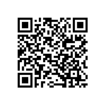 B32529C1224M289 QRCode
