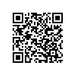 B32529C1273J289 QRCode