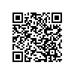 B32529C1394K289 QRCode