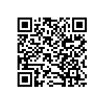 B32529C3153M289 QRCode