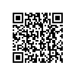 B32529C6152K289 QRCode