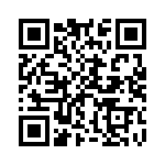 B32529C6153K QRCode