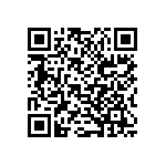 B32529C6223K289 QRCode