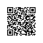 B32529D5335M189 QRCode