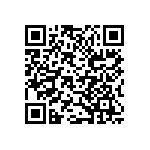 B32529E6104K289 QRCode