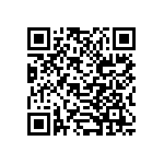 B32529E6333J189 QRCode