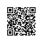 B32529E6563K289 QRCode