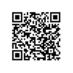 B32560J6133J000 QRCode