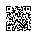 B32560J6222K289 QRCode