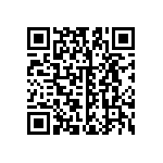 B32621A3333K000 QRCode