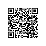 B32912A4333M289 QRCode