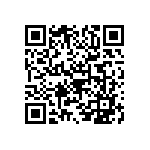 B32916A4105M000 QRCode