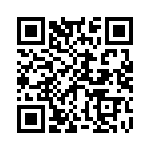 B41041A4227M QRCode