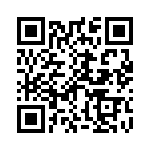 B41252B338M QRCode