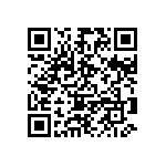 B41252B9338M000 QRCode