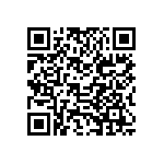 B41689K5338Q001 QRCode